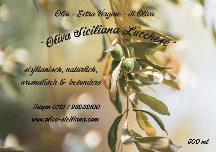 'Oliva Siciliana' L'Originale 'Lucchese'